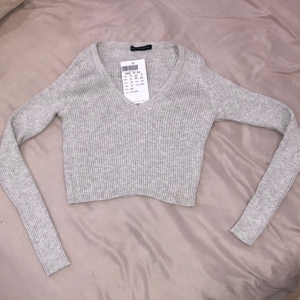 Brandy Melville Cropped V-Neck Sweater